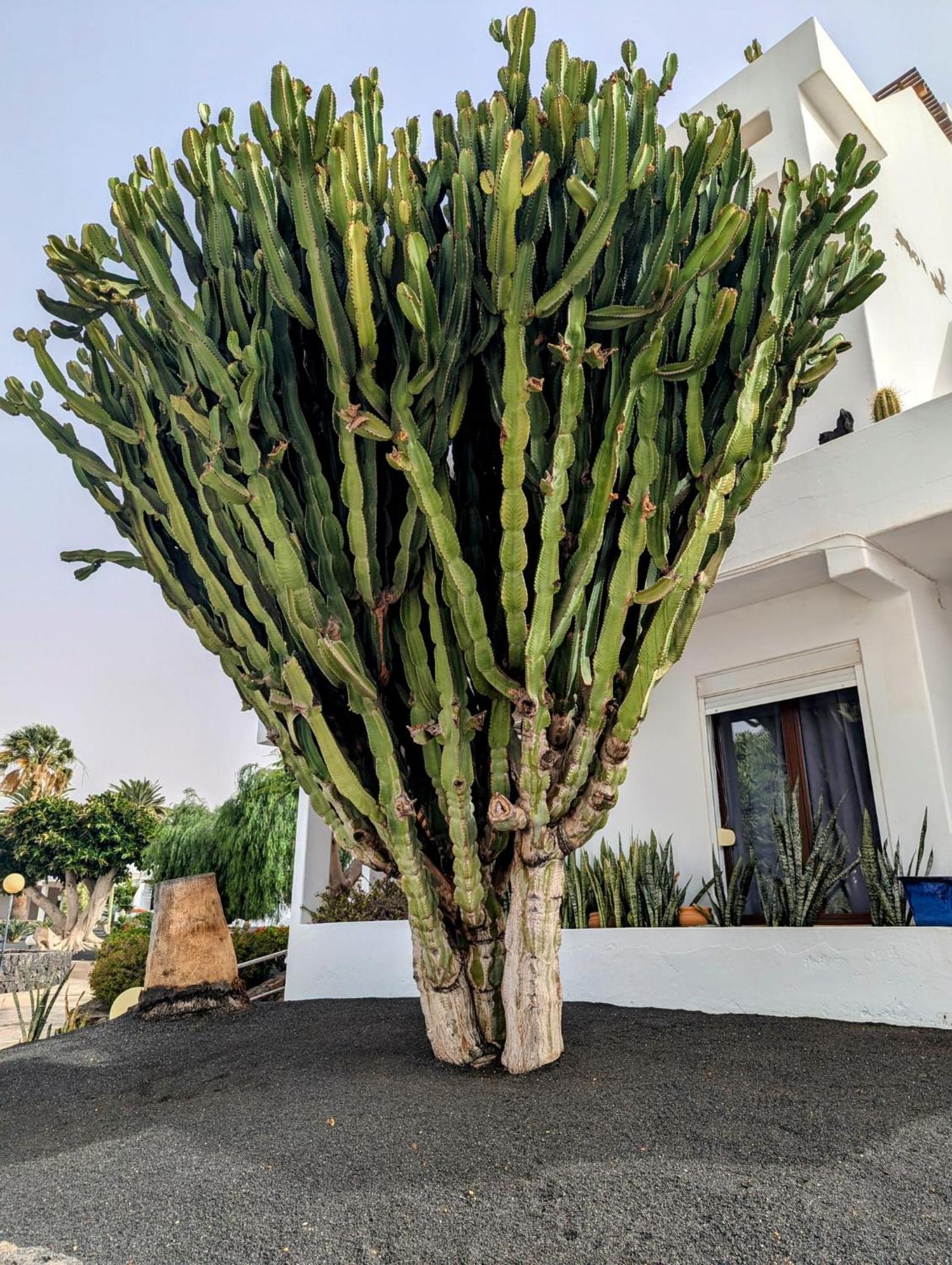 Charming Flat In Los Molinos With Terrace & Pools, Near Playa Bastian كوستا تاغيسي المظهر الخارجي الصورة